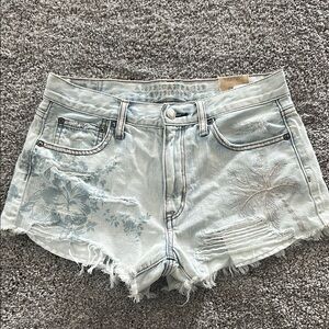 American Eagle Outfitters Women's Light Blue Denim Shorts